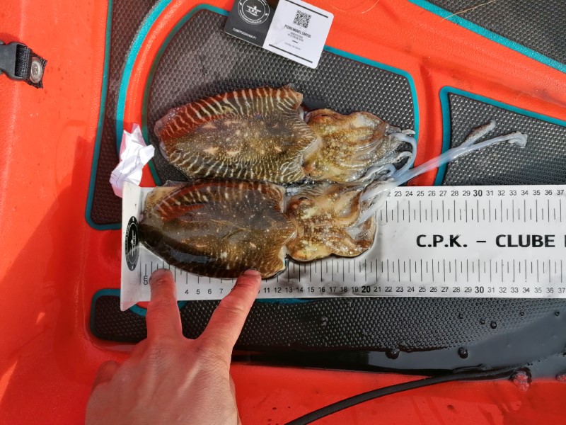 Fish Measure Picture