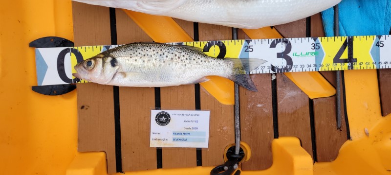 Fish Measure Picture