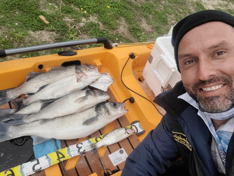 Fish Profile Picture