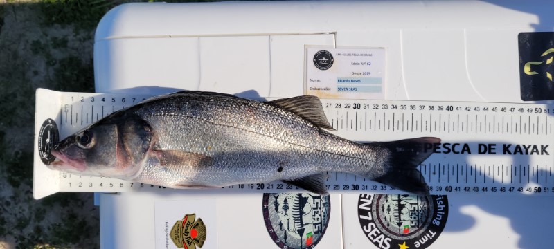 Fish Measure Picture