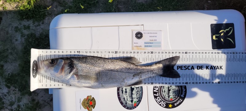 Fish Measure Picture