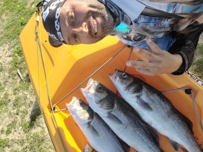 Fish Profile Picture