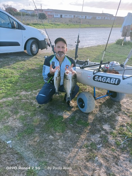 Fish Profile Picture