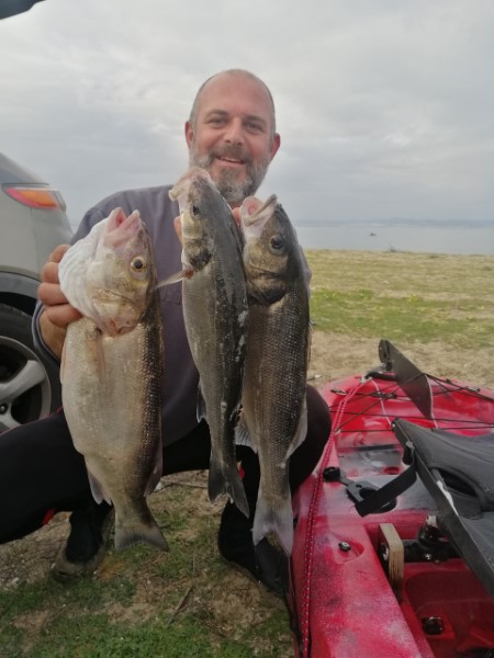 Fish Profile Picture