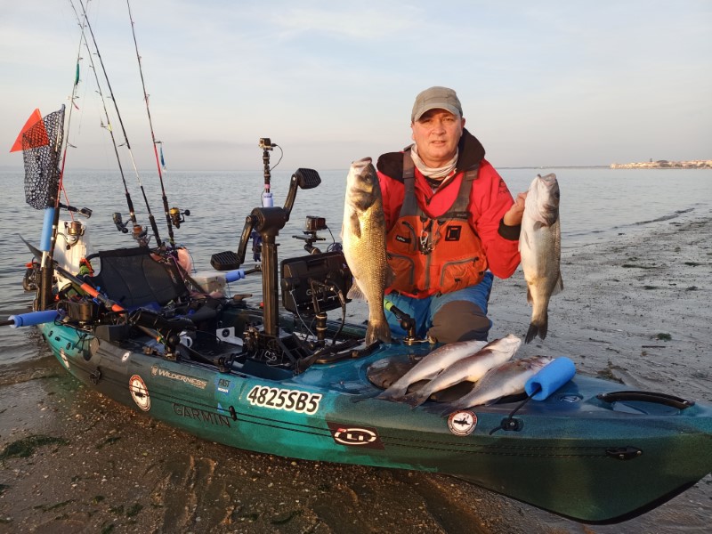 Fish Profile Picture