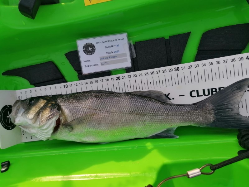Fish Measure Picture