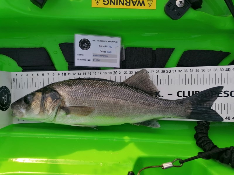 Fish Measure Picture