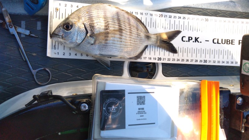 Fish Measure Picture