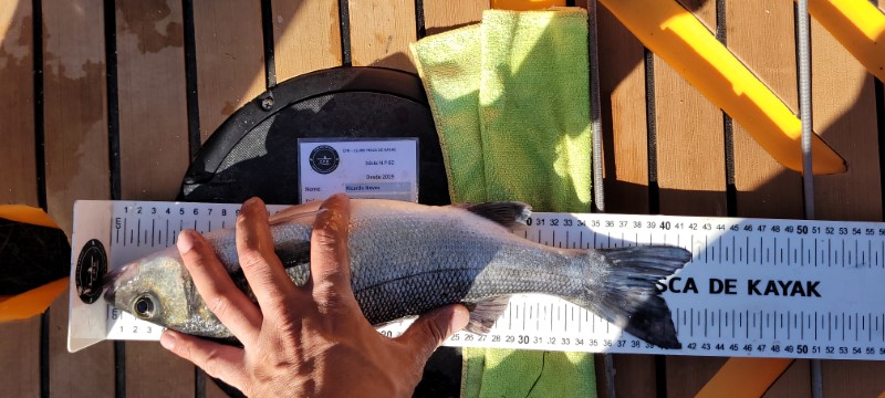 Fish Measure Picture