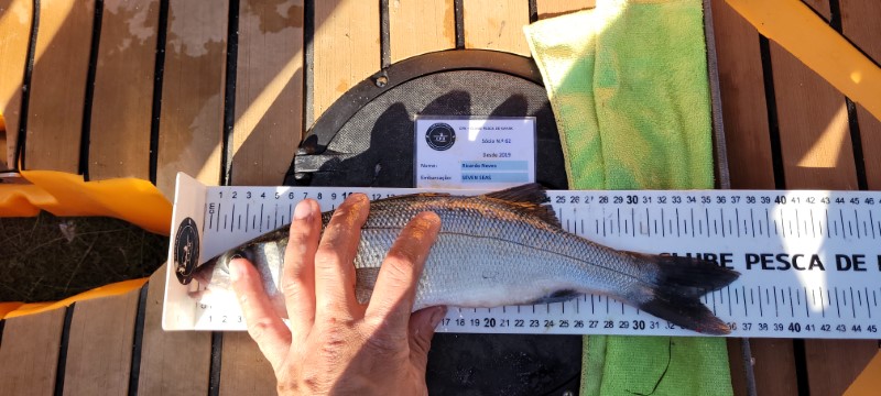 Fish Measure Picture