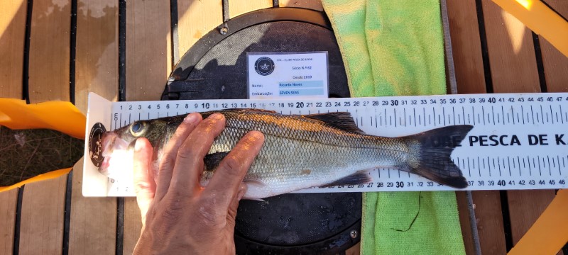 Fish Measure Picture