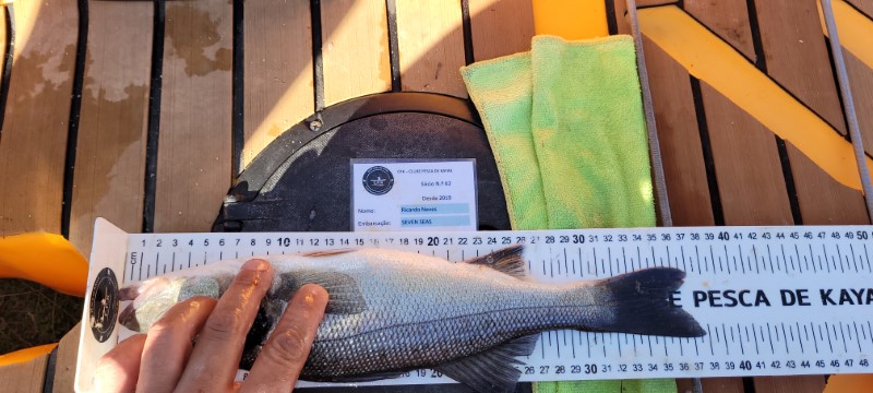 Fish Measure Picture