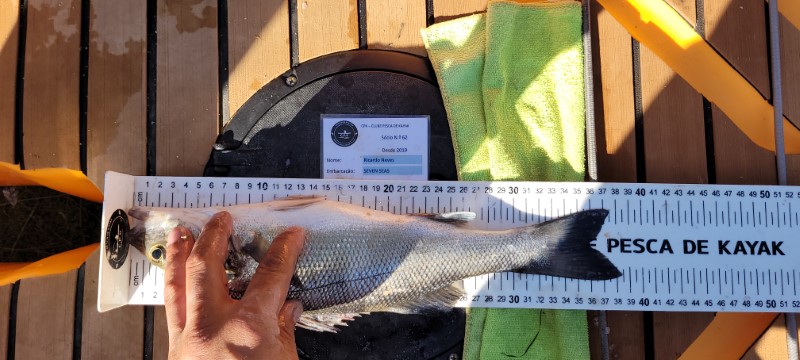 Fish Measure Picture