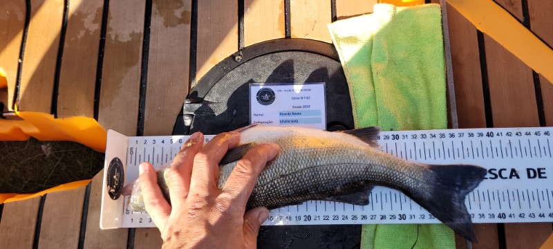 Fish Measure Picture