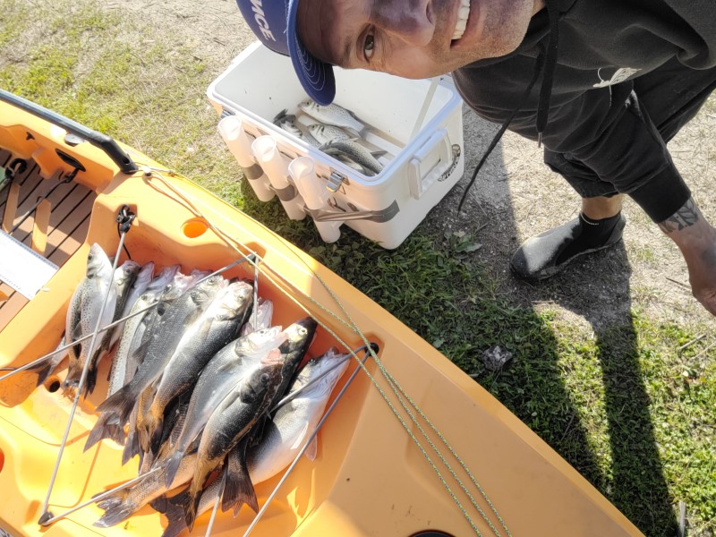 Fish Profile Picture
