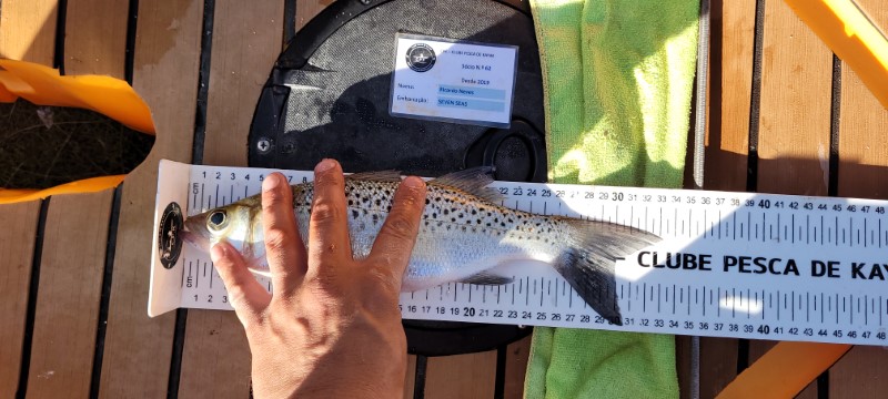 Fish Measure Picture