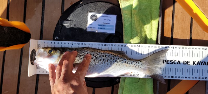 Fish Measure Picture