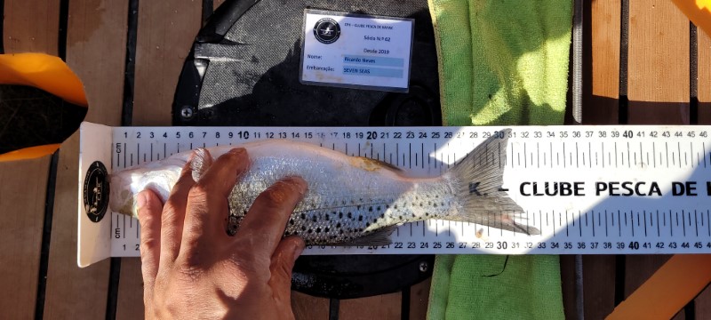 Fish Measure Picture