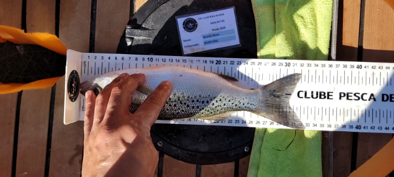Fish Measure Picture