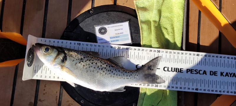 Fish Measure Picture
