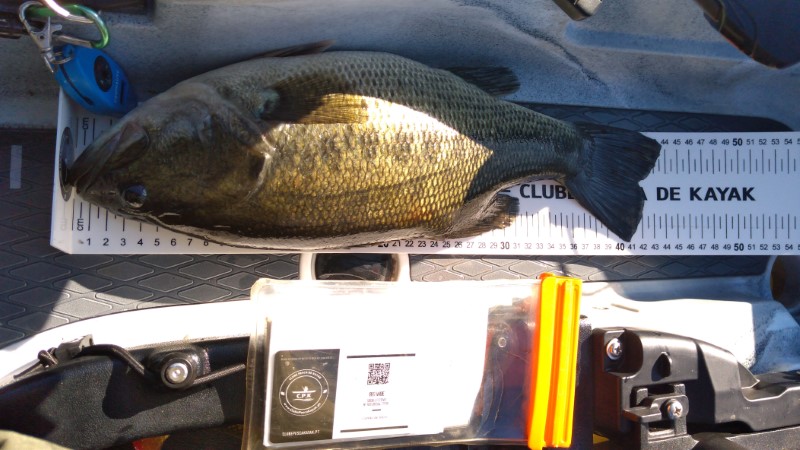 Fish Measure Picture
