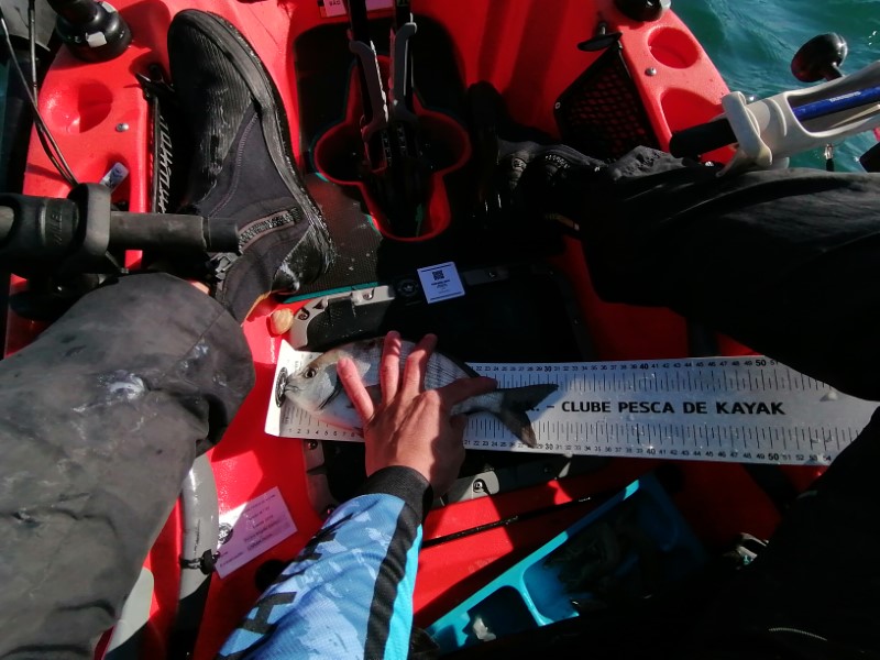 Fish Measure Picture