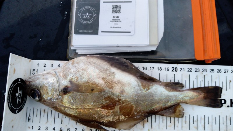 Fish Measure Picture