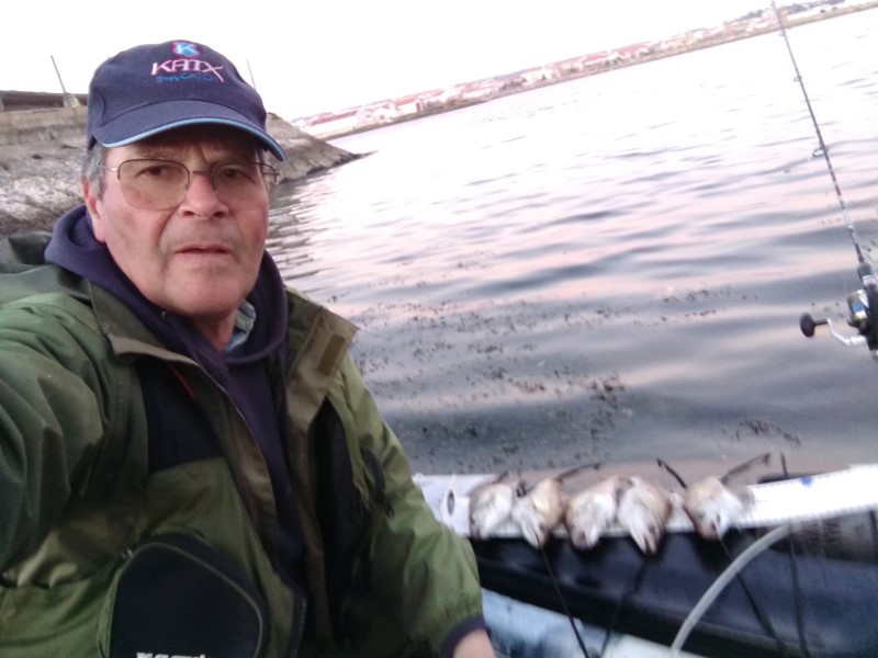 Fish Profile Picture