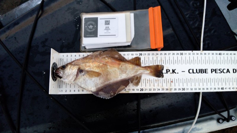 Fish Measure Picture