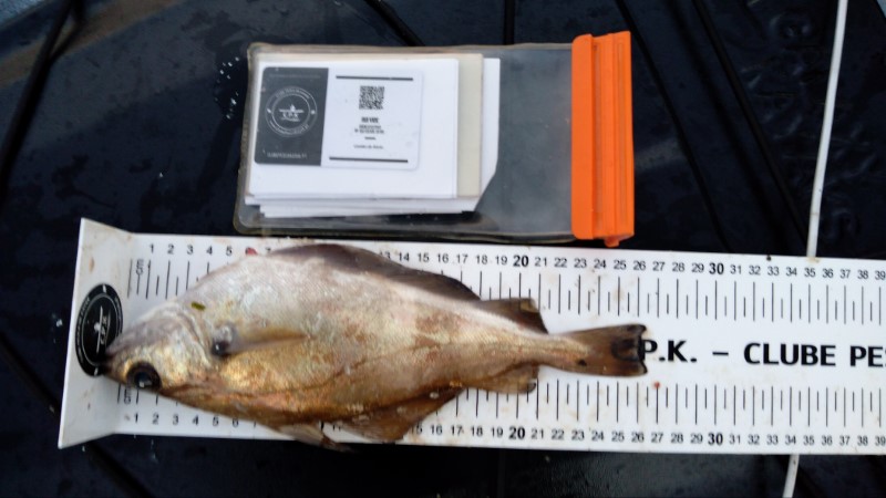 Fish Measure Picture