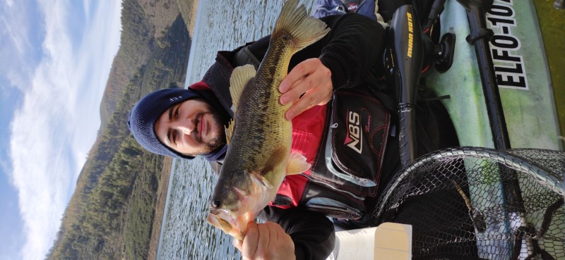 Fish Profile Picture