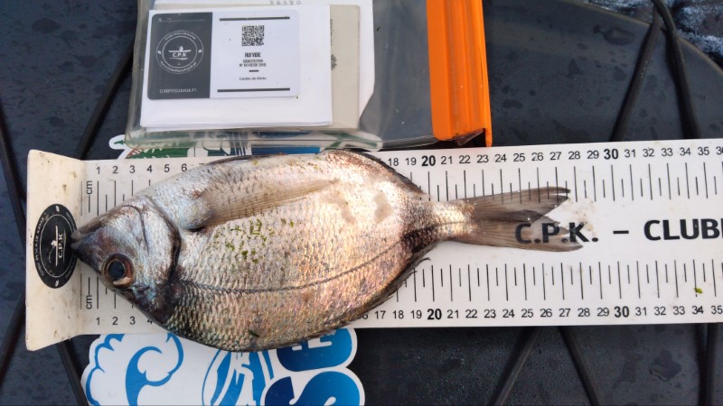 Fish Measure Picture
