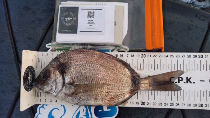 Fish Measure Picture