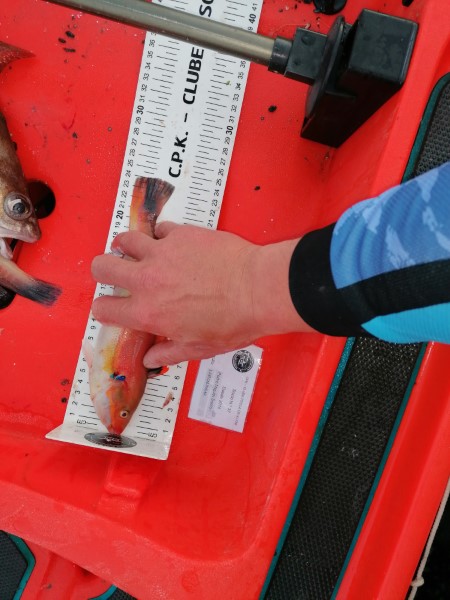 Fish Measure Picture