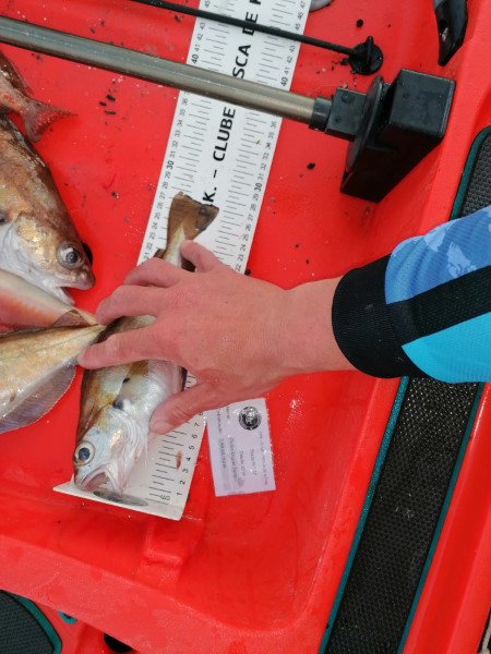 Fish Measure Picture