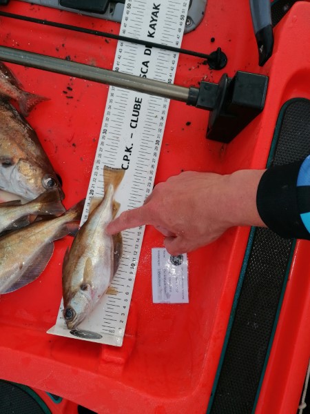 Fish Measure Picture