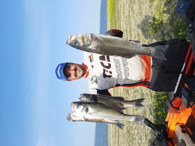 Fish Profile Picture