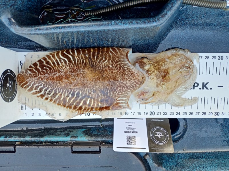 Fish Measure Picture