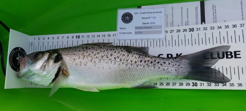 Fish Measure Picture