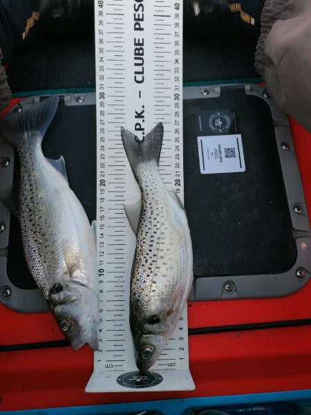 Fish Measure Picture