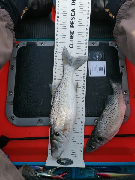 Fish Measure Picture