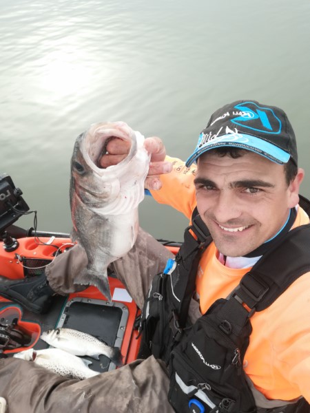 Fish Profile Picture