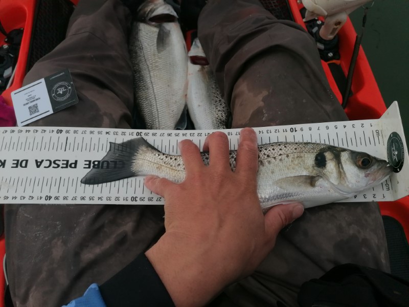 Fish Measure Picture