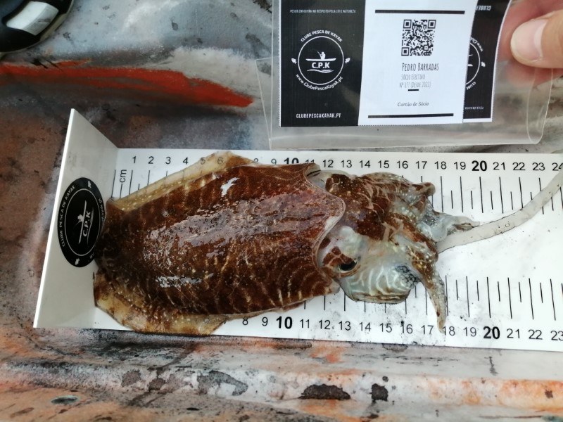 Fish Measure Picture