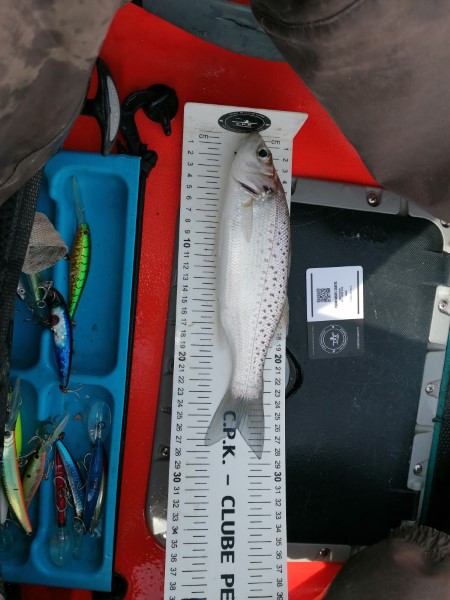 Fish Measure Picture