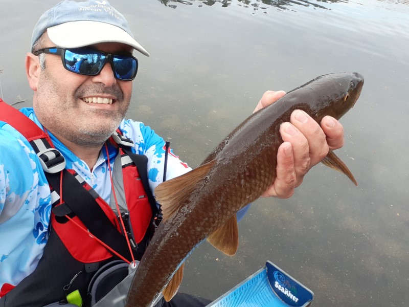 Fish Profile Picture