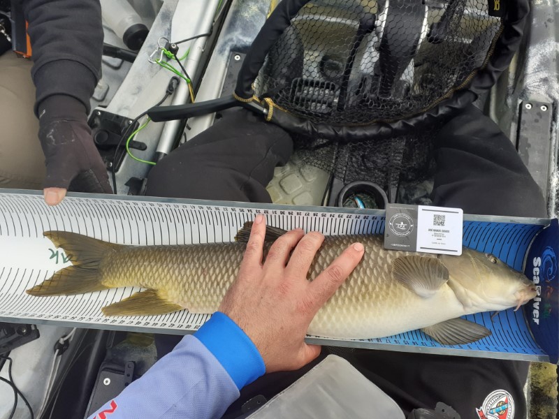 Fish Measure Picture