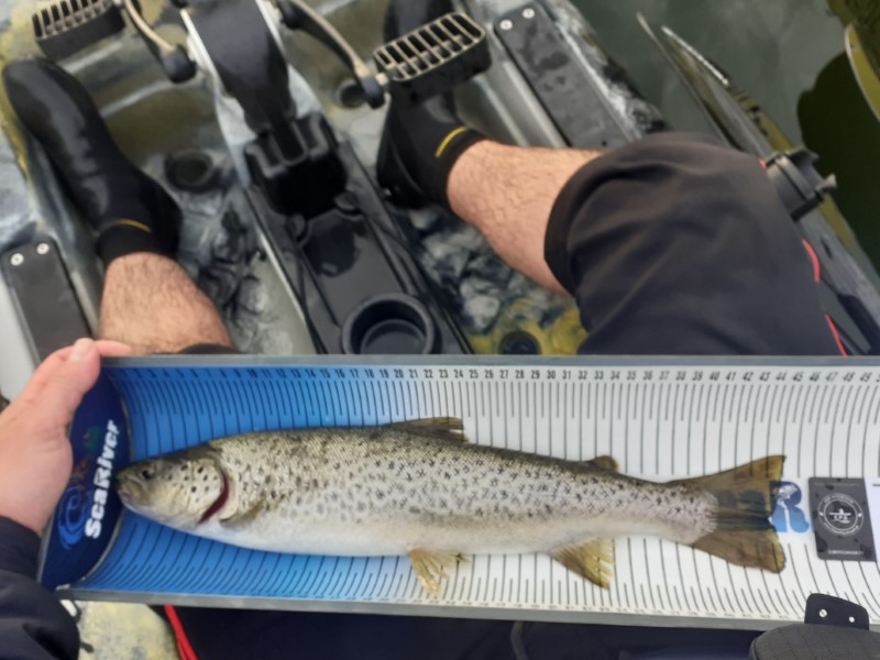 Fish Measure Picture