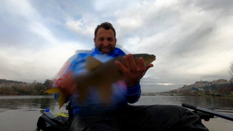 Fish Profile Picture