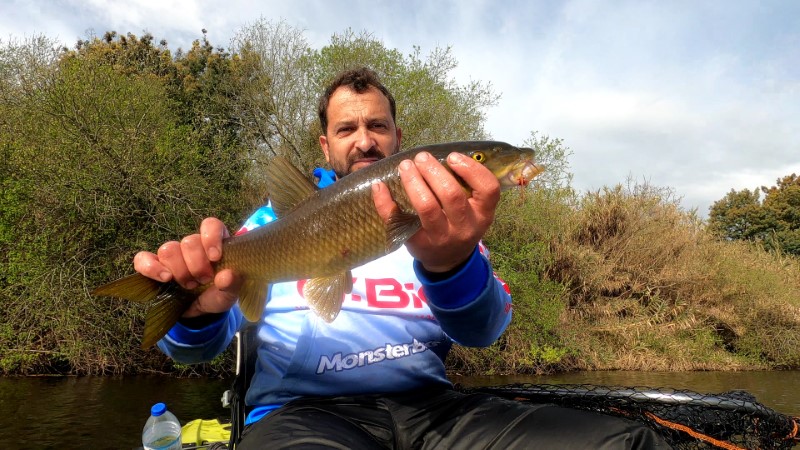 Fish Profile Picture